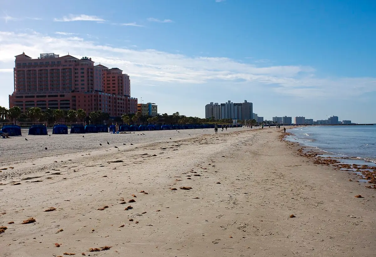 View of Clearwater, FL