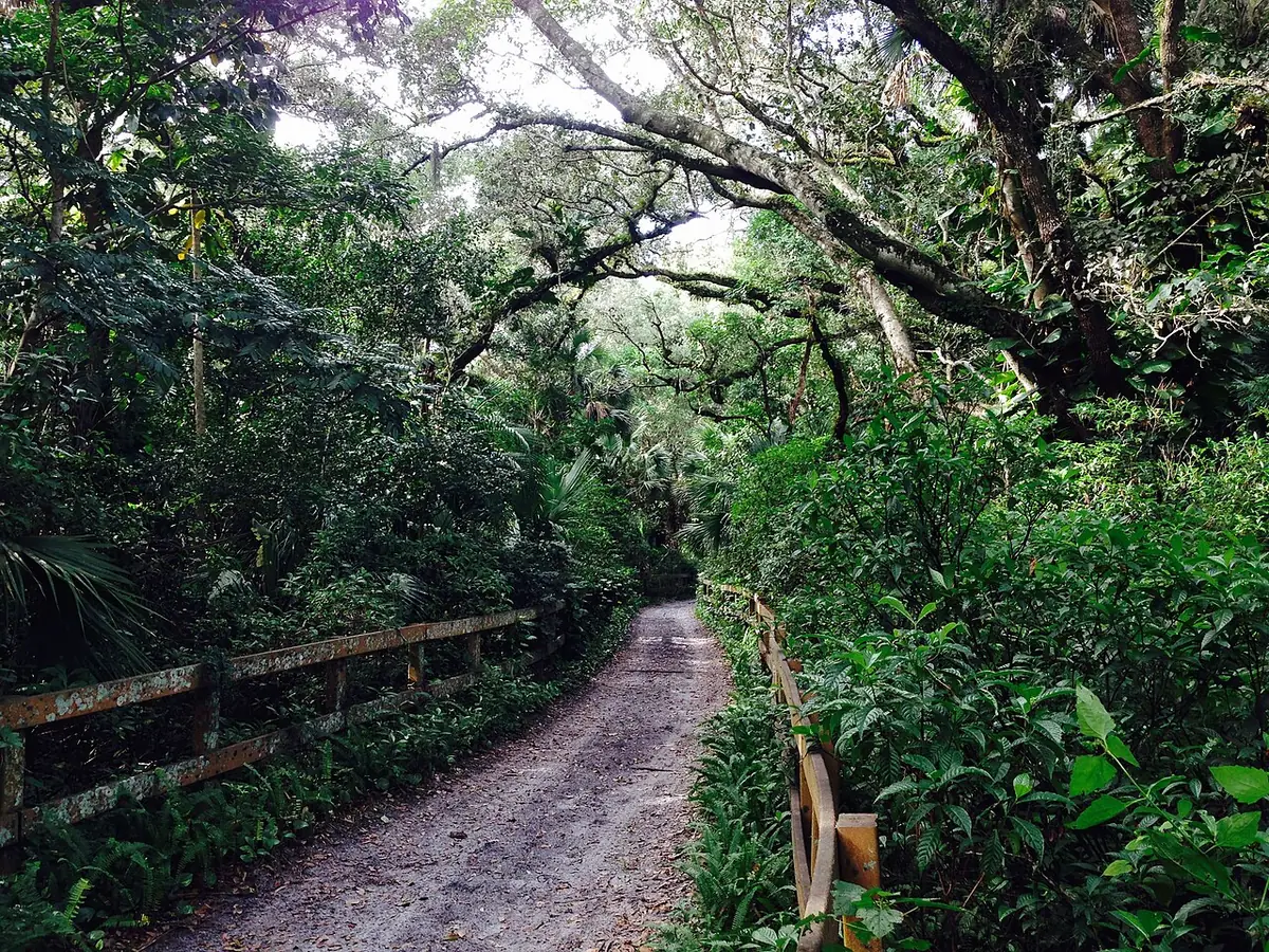 View of Davie, FL