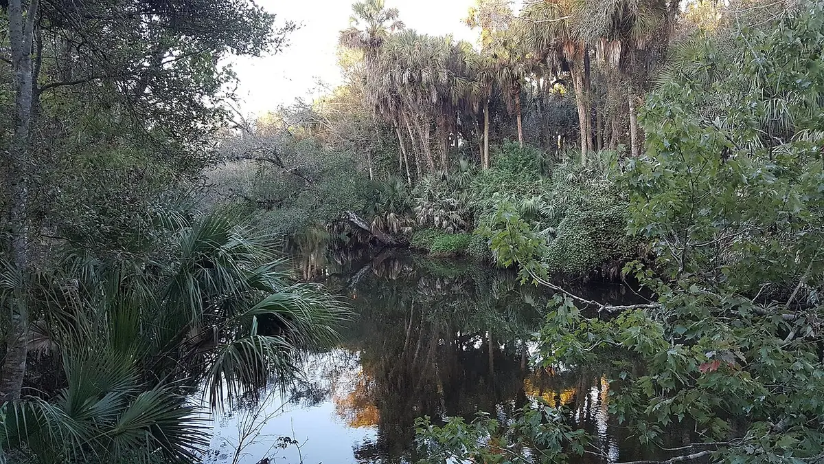 View of Palm Bay, FL