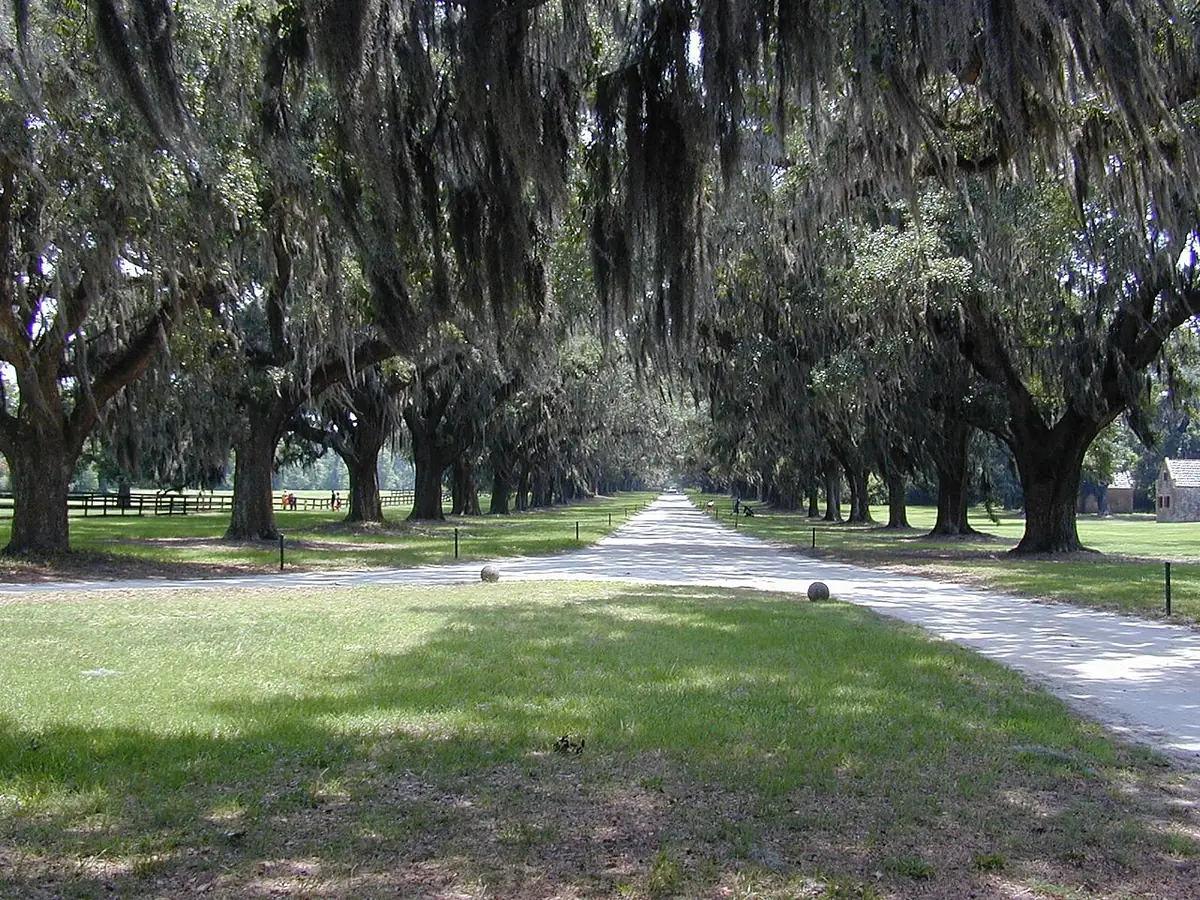 View of Mount Pleasant, SC