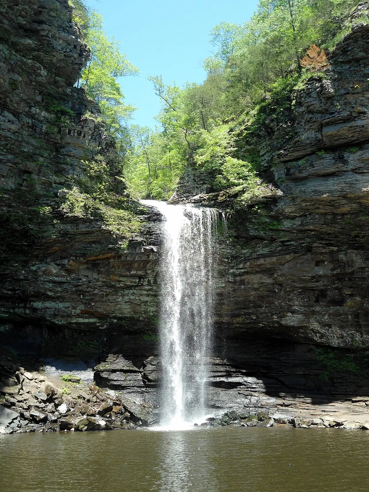 Landscape in Arkansas