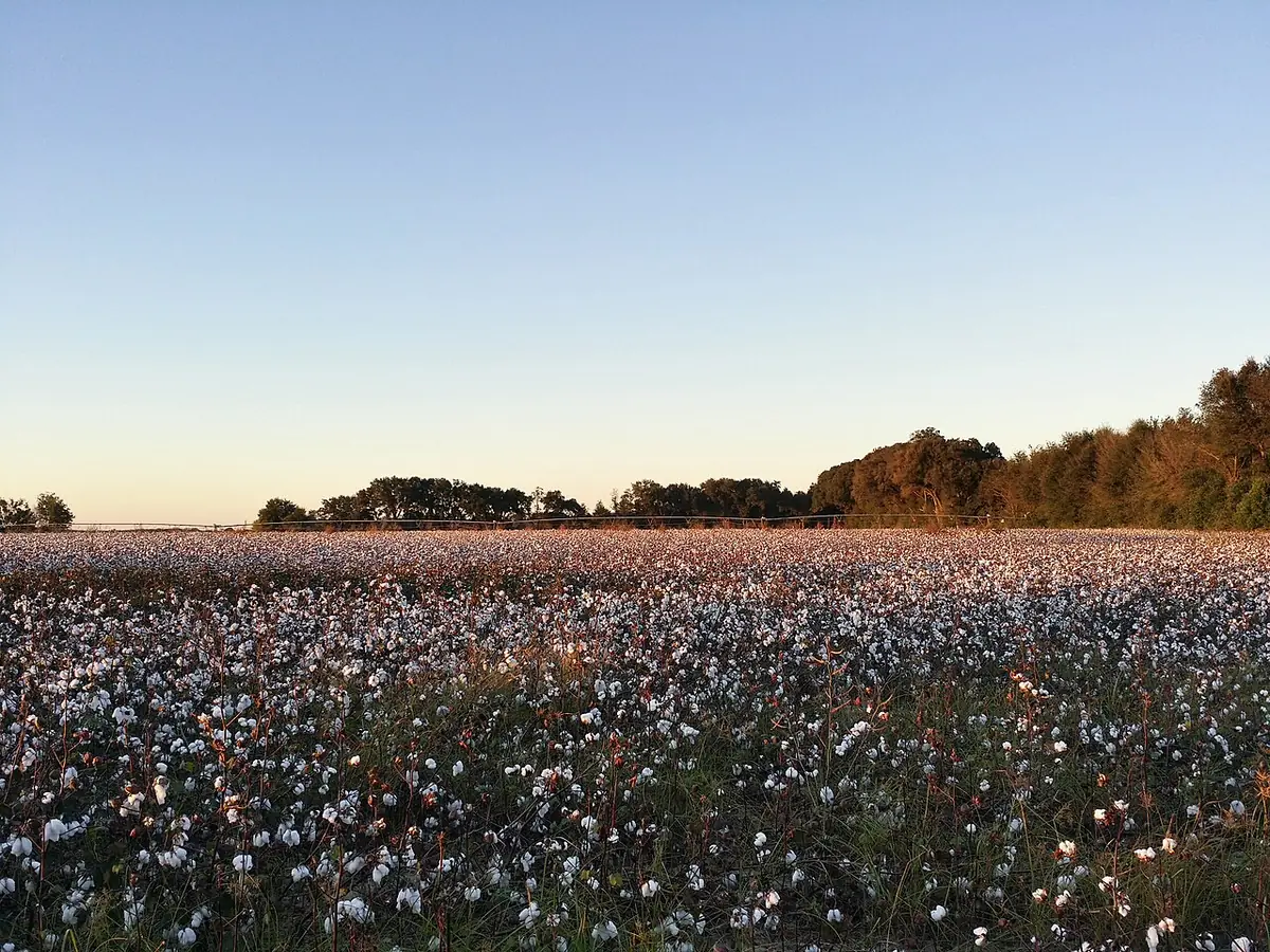 Landscape in Georgia