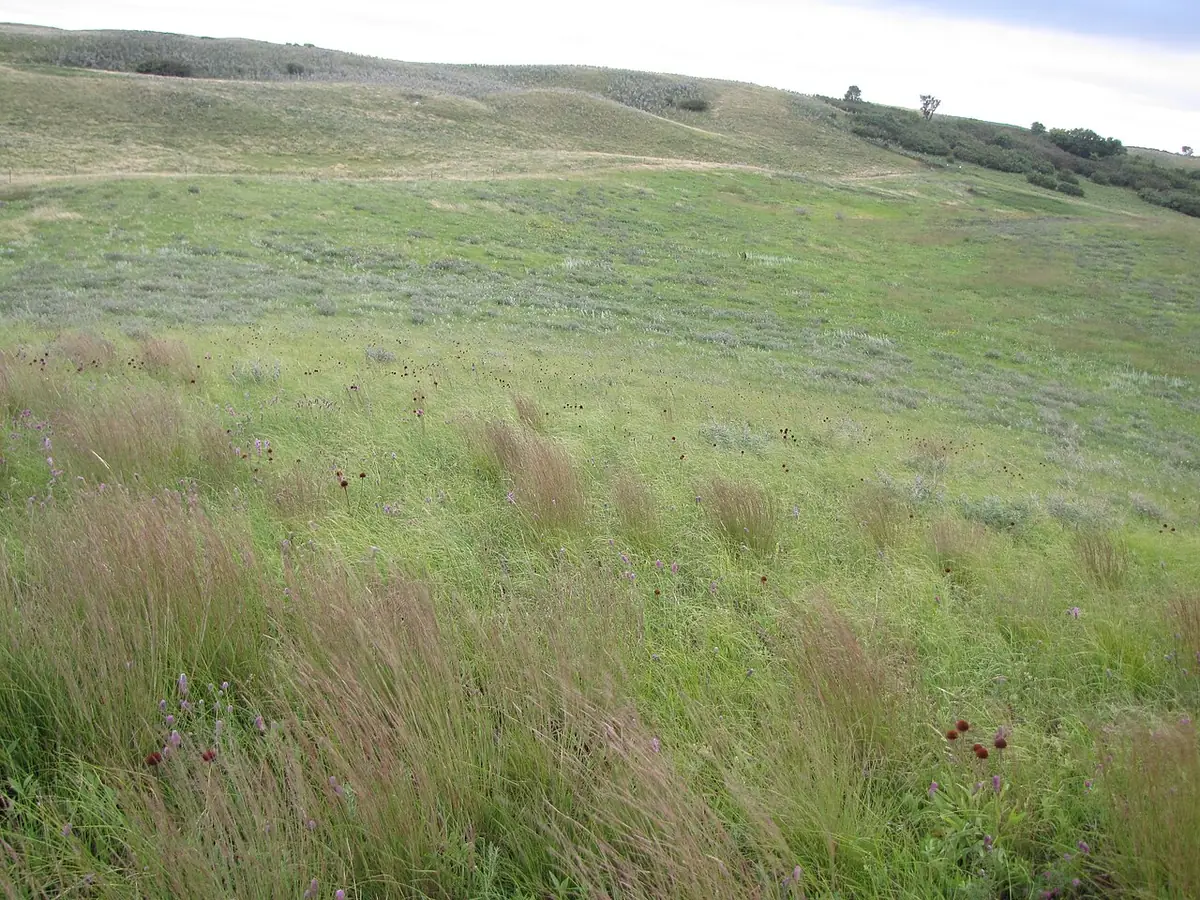 Landscape in North Dakota